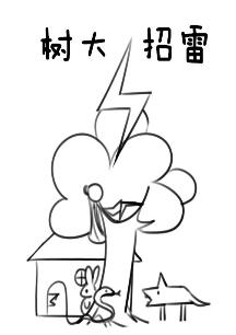The tree attracts thunder